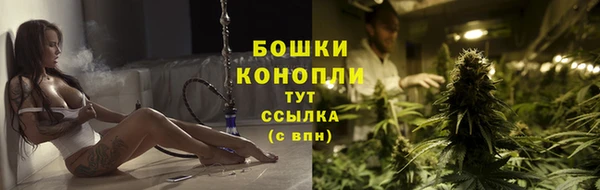 шишки Куйбышев