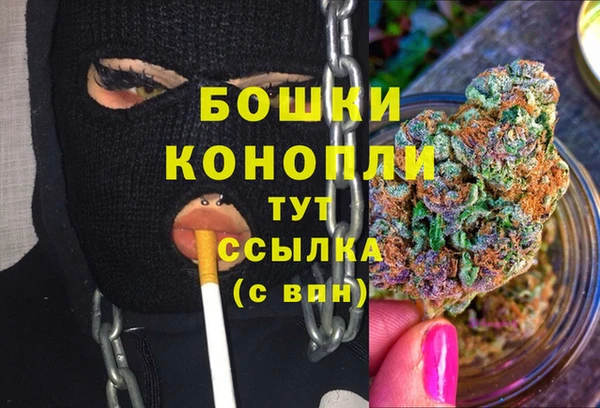 шишки Куйбышев