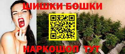 индика Гусиноозёрск
